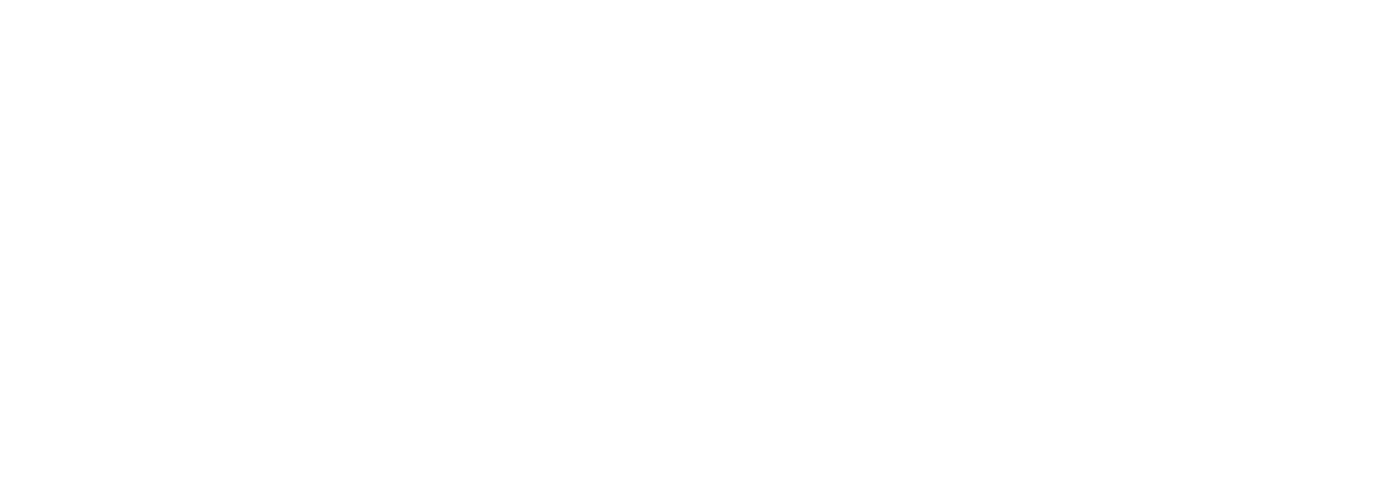 Denver Decon Logo in all white