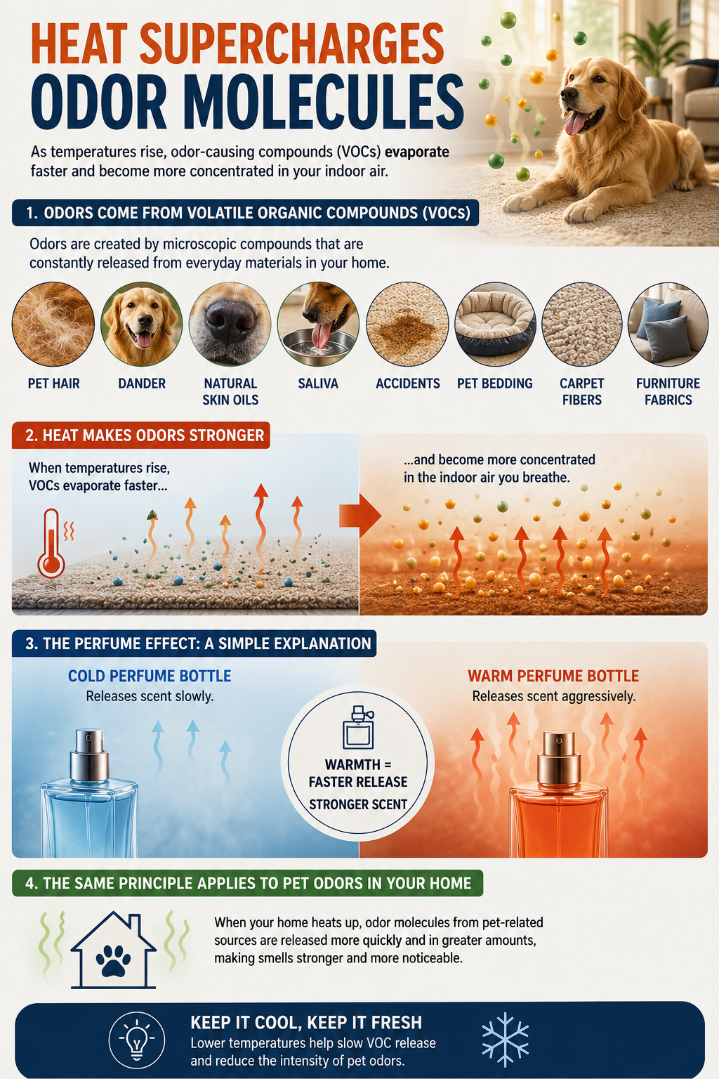 infograph showing how heat changes molecules in all things causing scents to become aggressive.