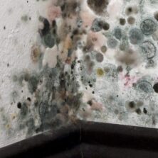 black mold on a wall