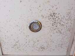 mold on bathroom ceiling.